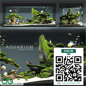 Aquarium snail king
